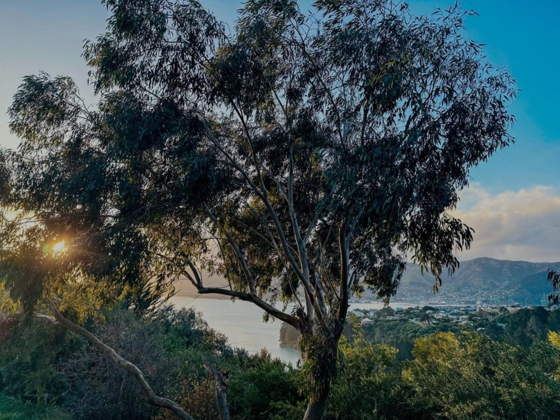 The Outlook By Tiny Away Villa Diamond Harbour Екстериор снимка
